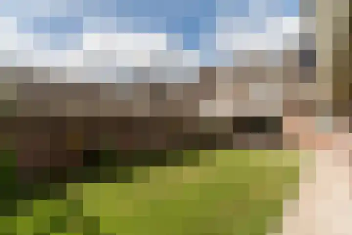 Wikkestraat 4 Riethoven thumbnail 38