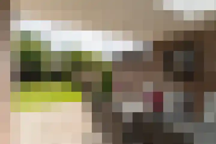 Wikkestraat 4 Riethoven thumbnail 40