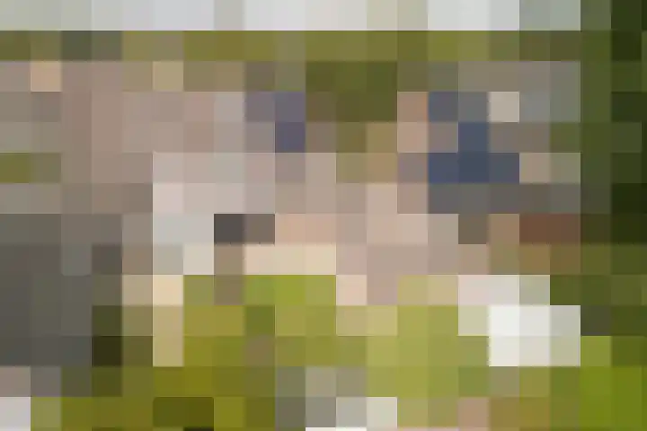 Wikkestraat 4 Riethoven thumbnail 41