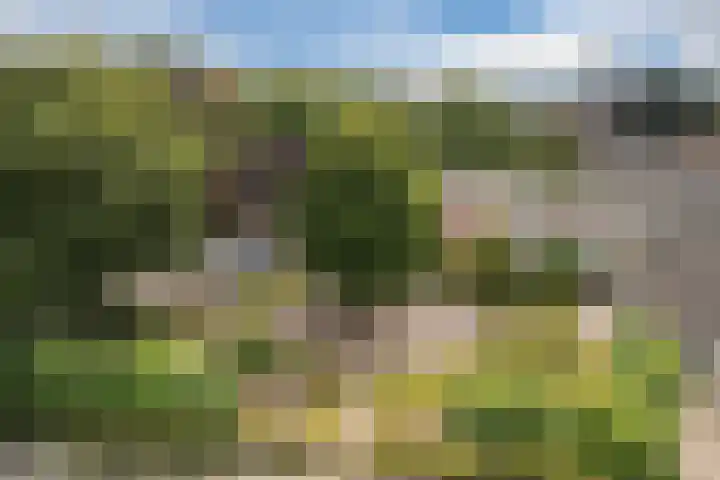 Wikkestraat 4 Riethoven thumbnail 42