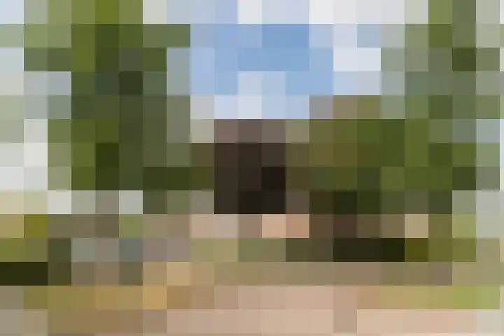 Wikkestraat 4 Riethoven thumbnail 43