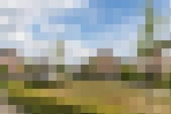 Wikkestraat 4 Riethoven thumbnail 44
