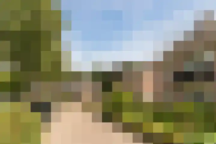 Wikkestraat 4 Riethoven thumbnail 6