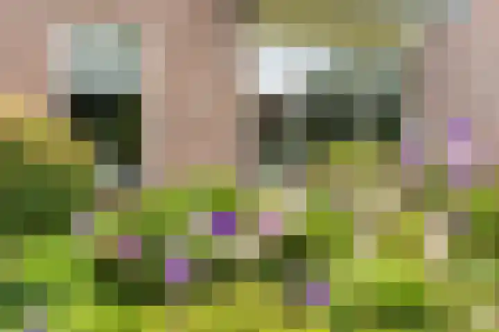 Wikkestraat 4 Riethoven thumbnail 7