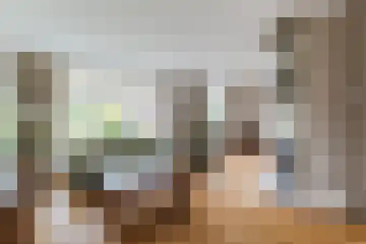 Wikkestraat 4 Riethoven thumbnail 9
