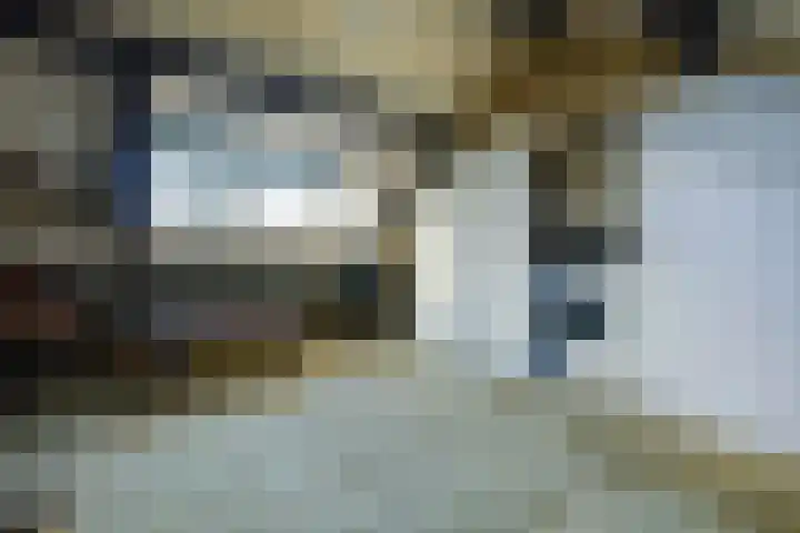 Wikkestraat 44 Nieuw-Vennep thumbnail 38