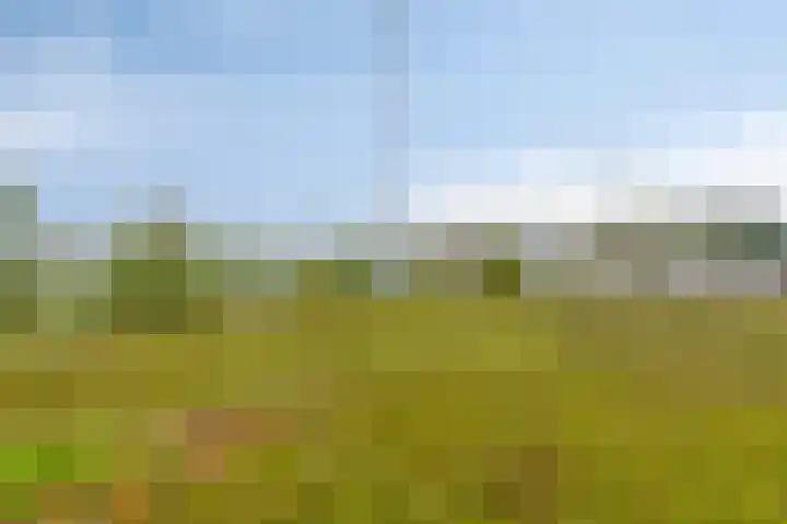 Wikkestraat 61 Nieuw-Vennep thumbnail 32