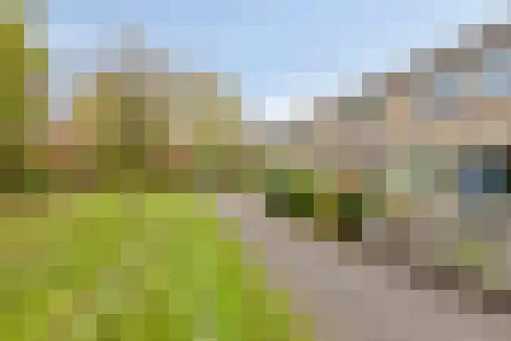 Wikkestraat 61 Nieuw-Vennep thumbnail 7