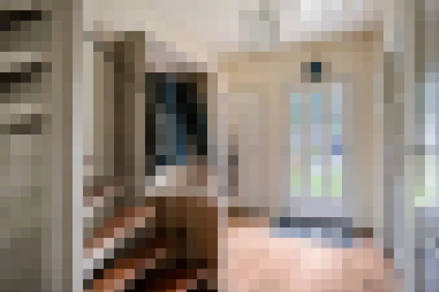 Wikkestraat 8 Odiliapeel thumbnail 11