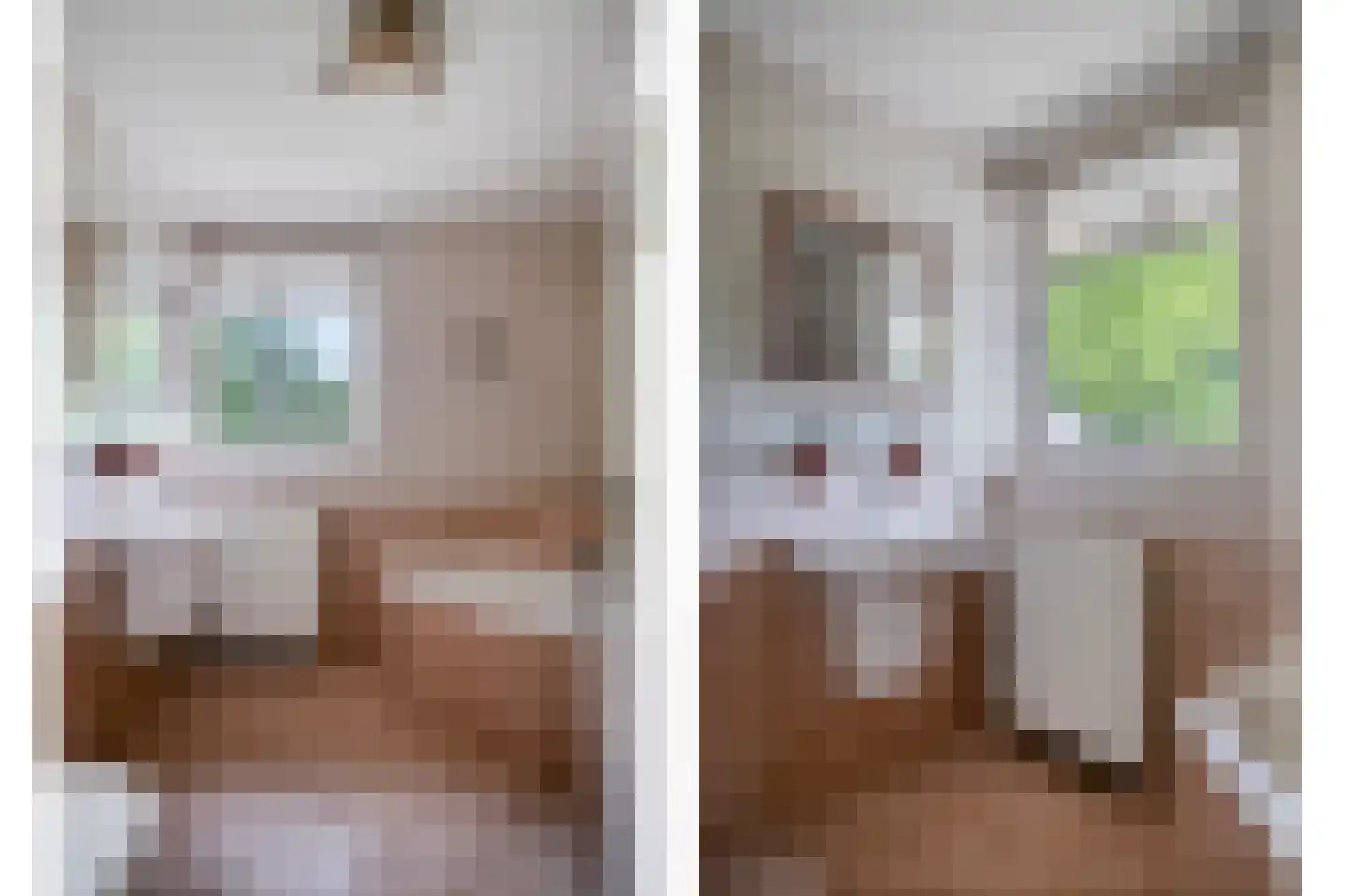 Wikkestraat 8 Odiliapeel thumbnail 21