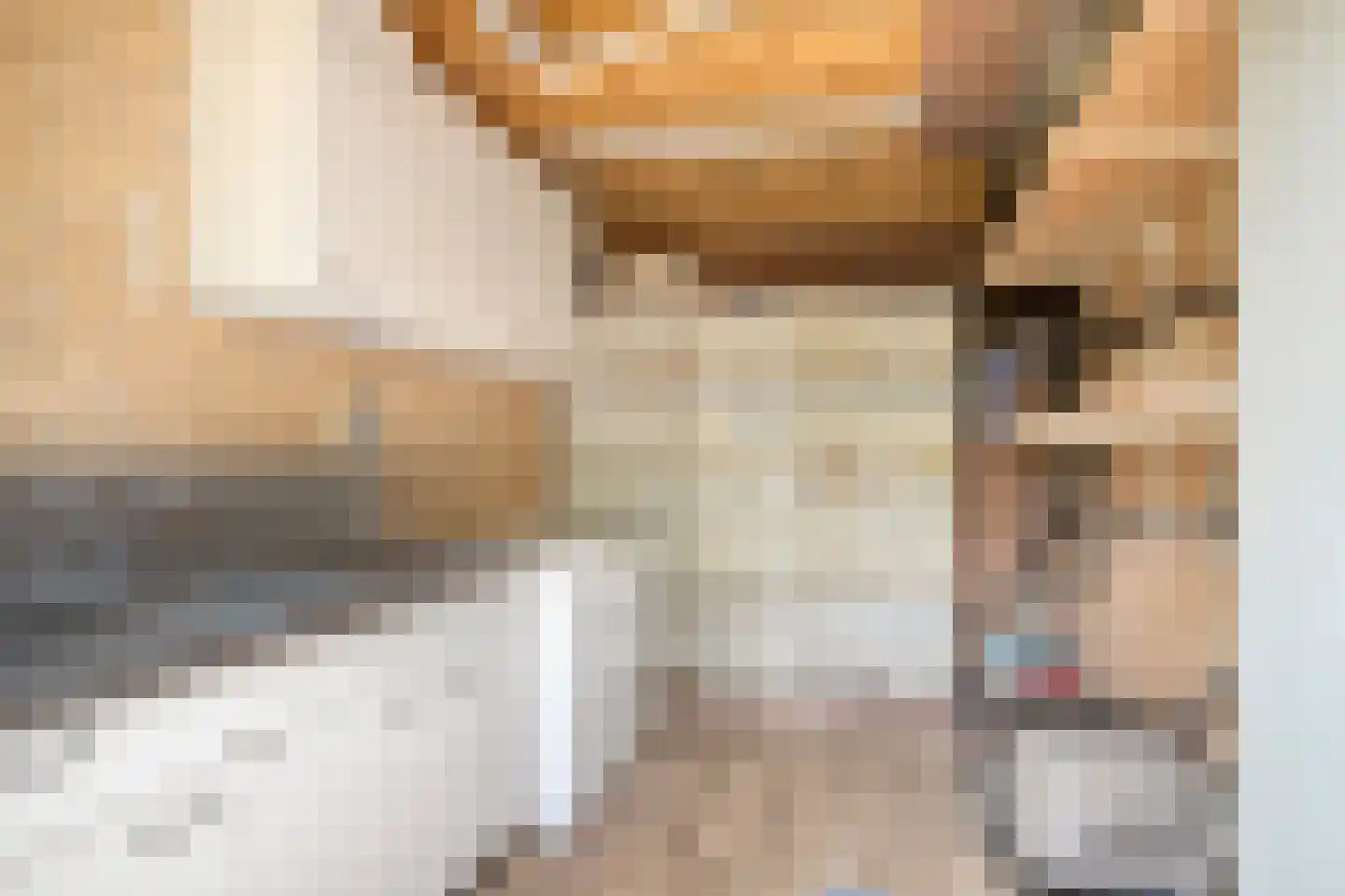Wikkestraat 8 Odiliapeel thumbnail 32