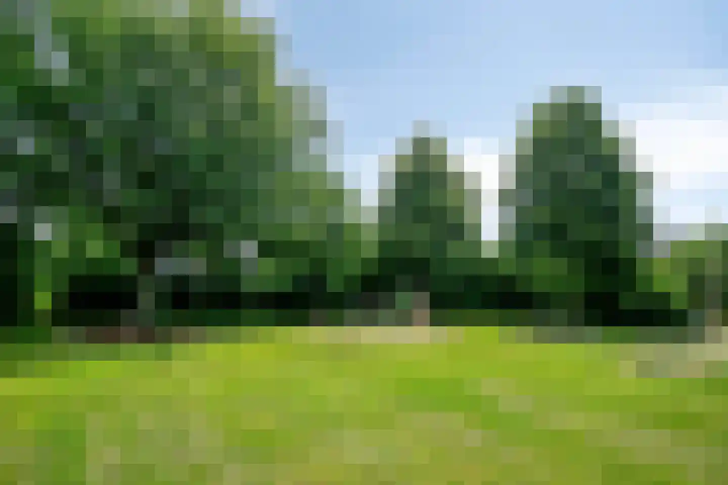 Wikkestraat 8 Odiliapeel thumbnail 39