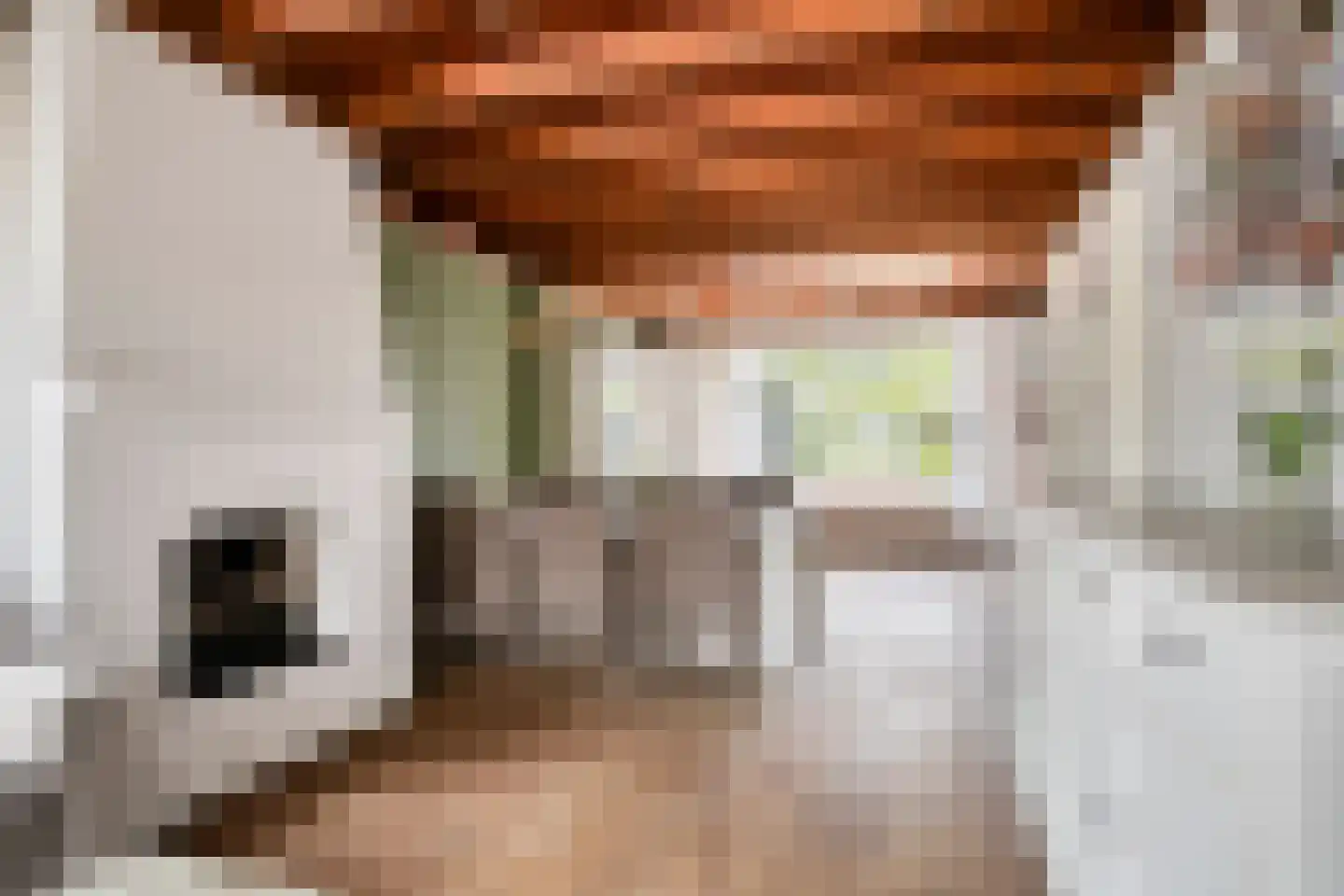 Wikkestraat 8 Odiliapeel thumbnail 4