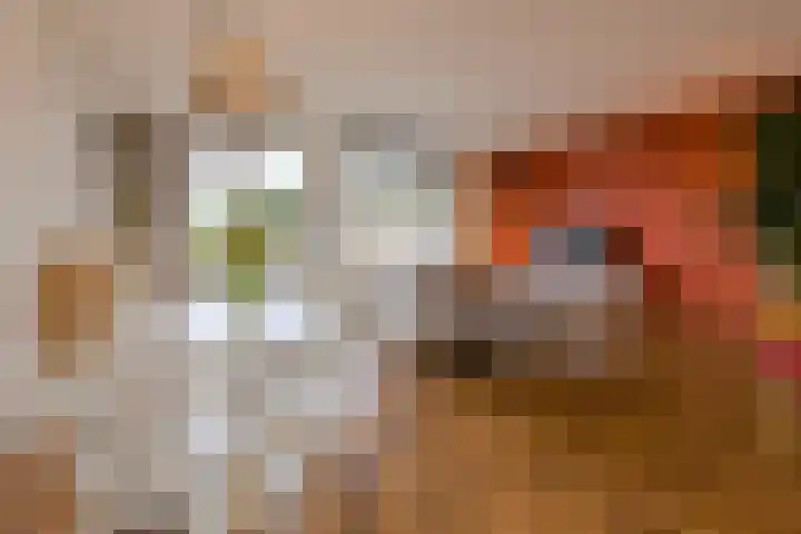 Wikketuin 18 Breda thumbnail 11