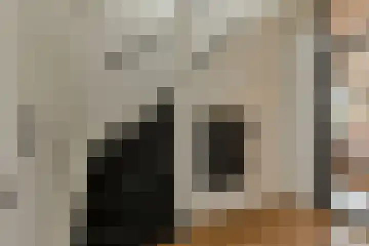 Wikketuin 18 Breda thumbnail 16