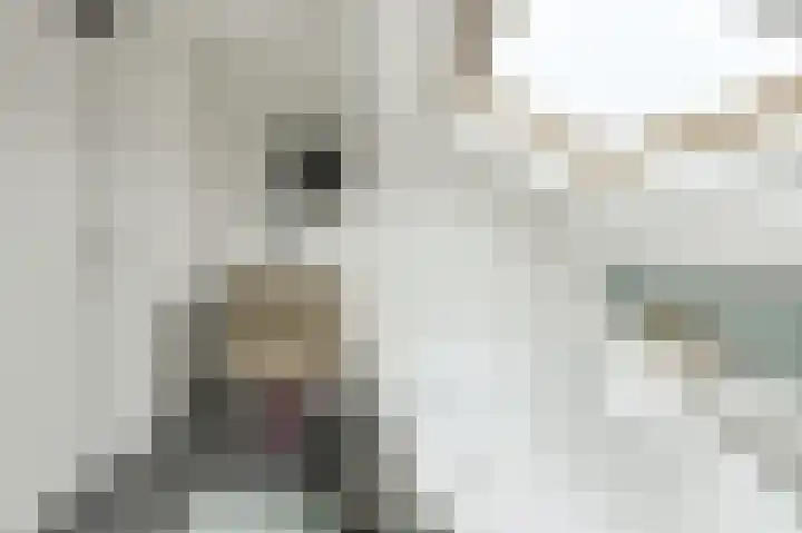 Wikketuin 18 Breda thumbnail 23