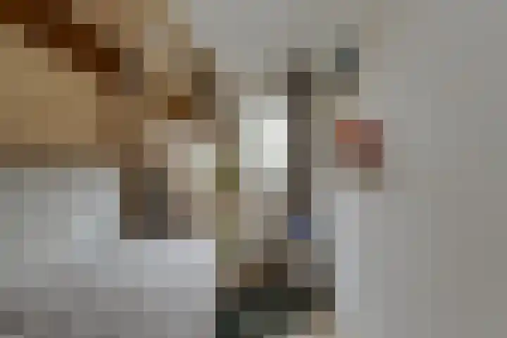 Wikketuin 18 Breda thumbnail 27