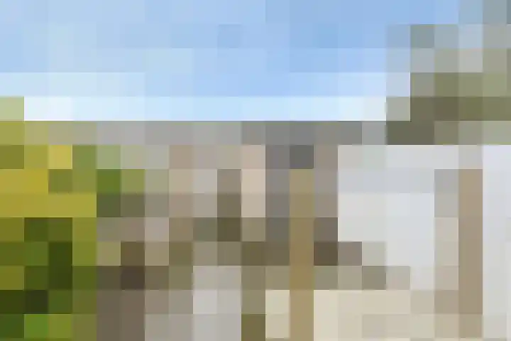 Wikketuin 18 Breda thumbnail 31
