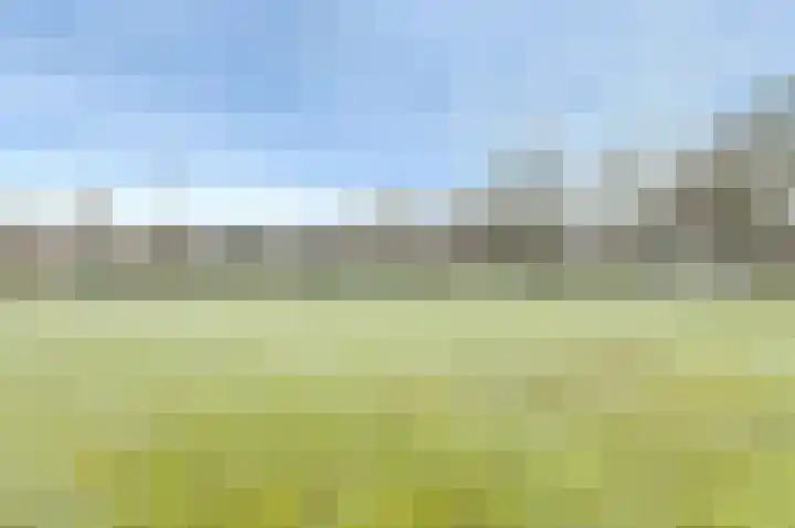 Wikketuin 18 Breda thumbnail 39