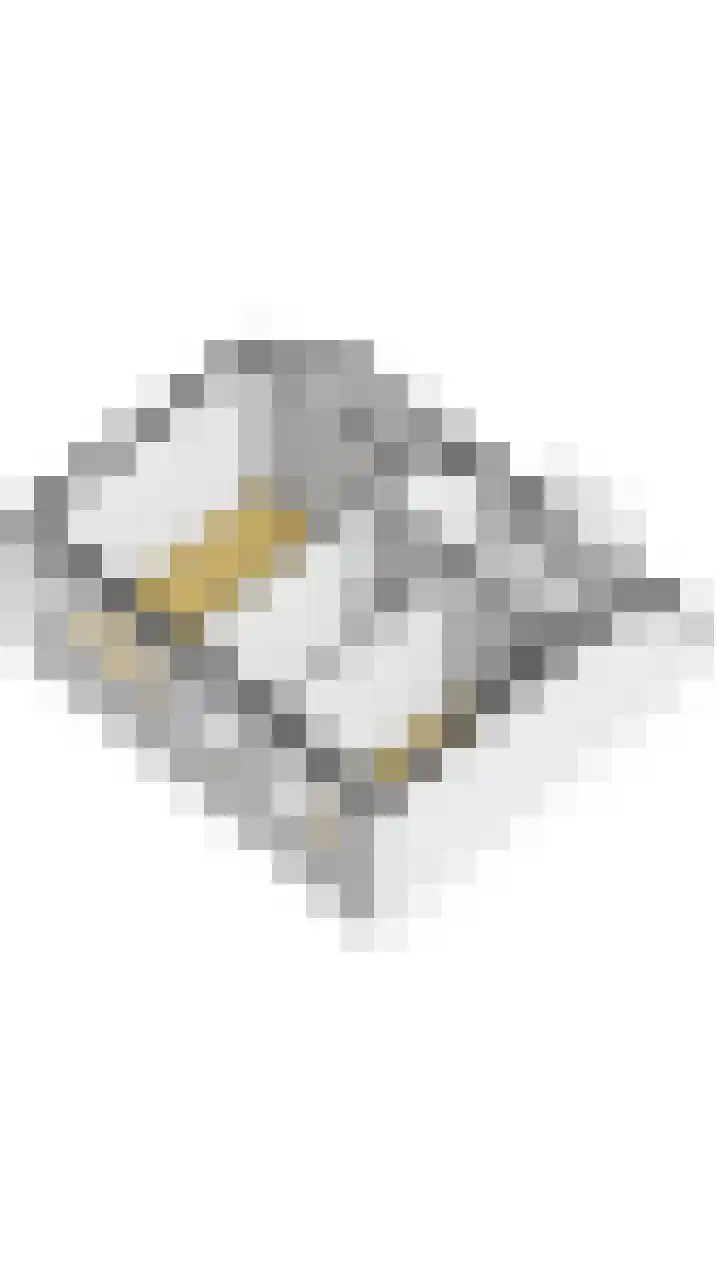 Wikketuin 18 Breda thumbnail 43