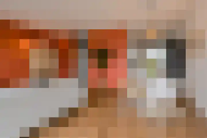 Wikketuin 18 Breda thumbnail 7