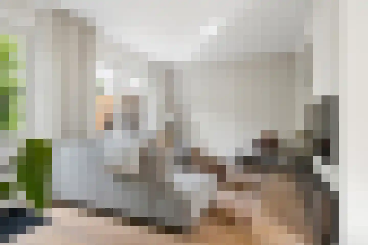 Wikketuin 70 Breda thumbnail 16