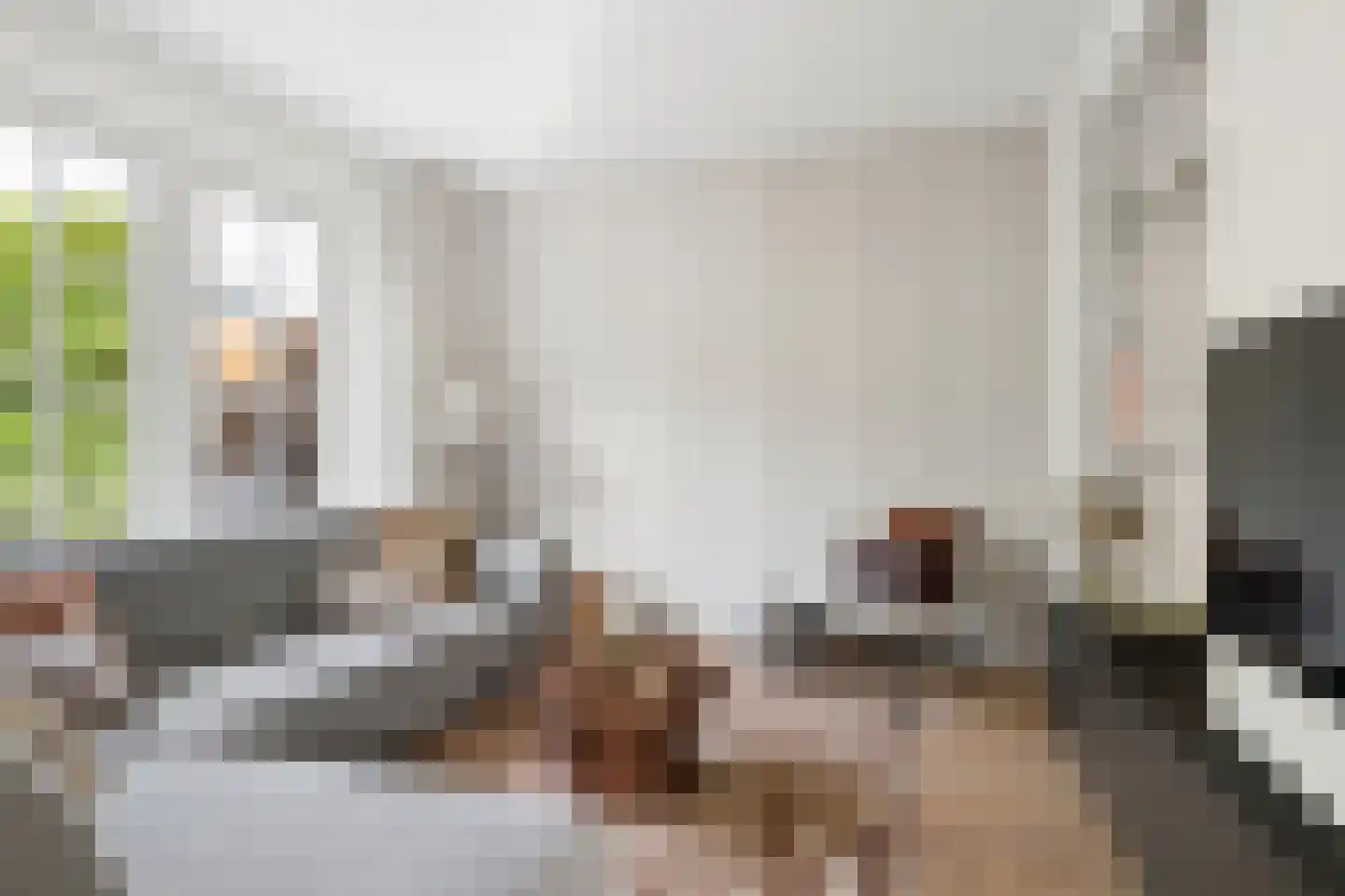 Wikketuin 70 Breda thumbnail 17