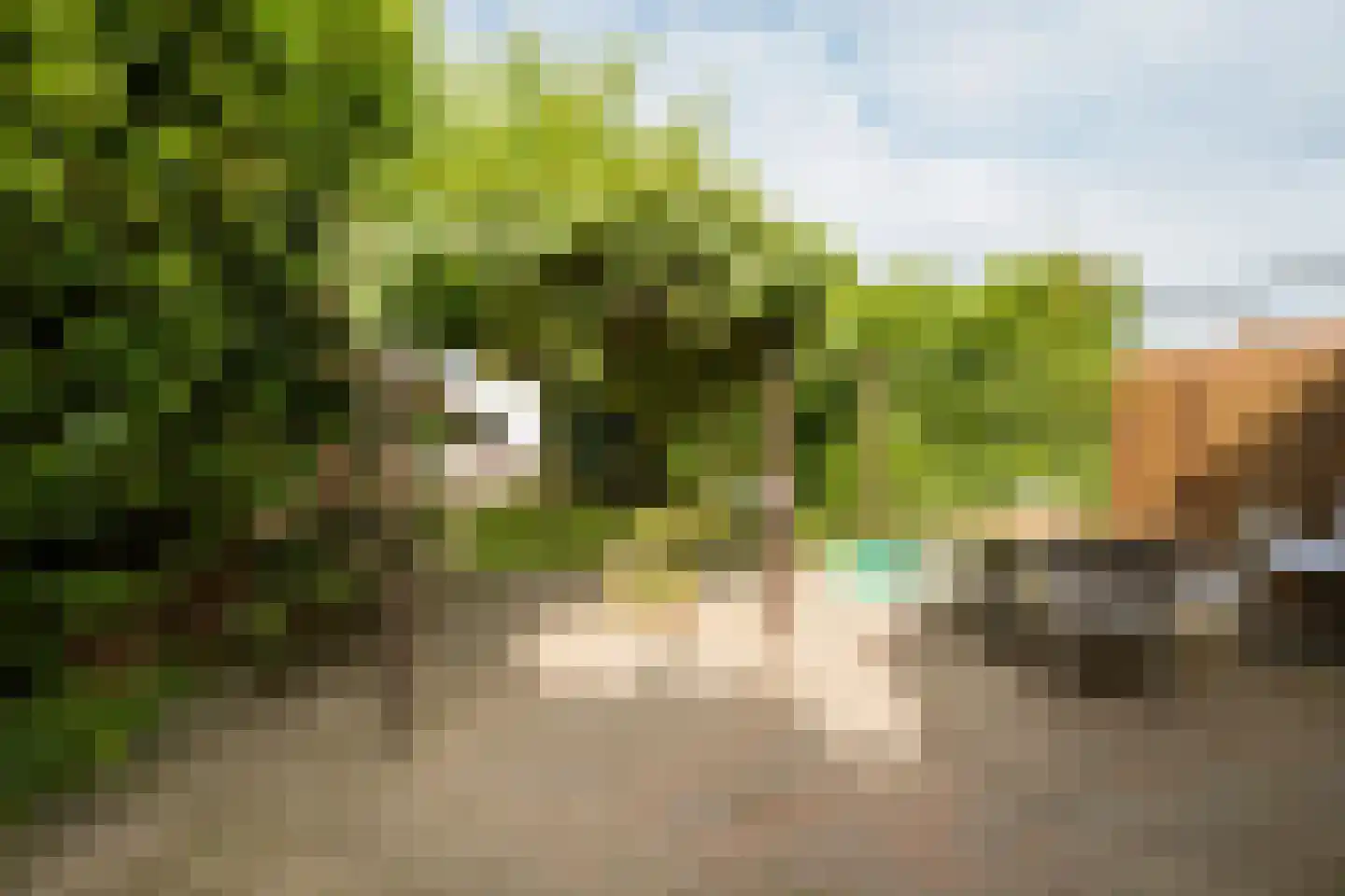 Wikketuin 70 Breda thumbnail 32