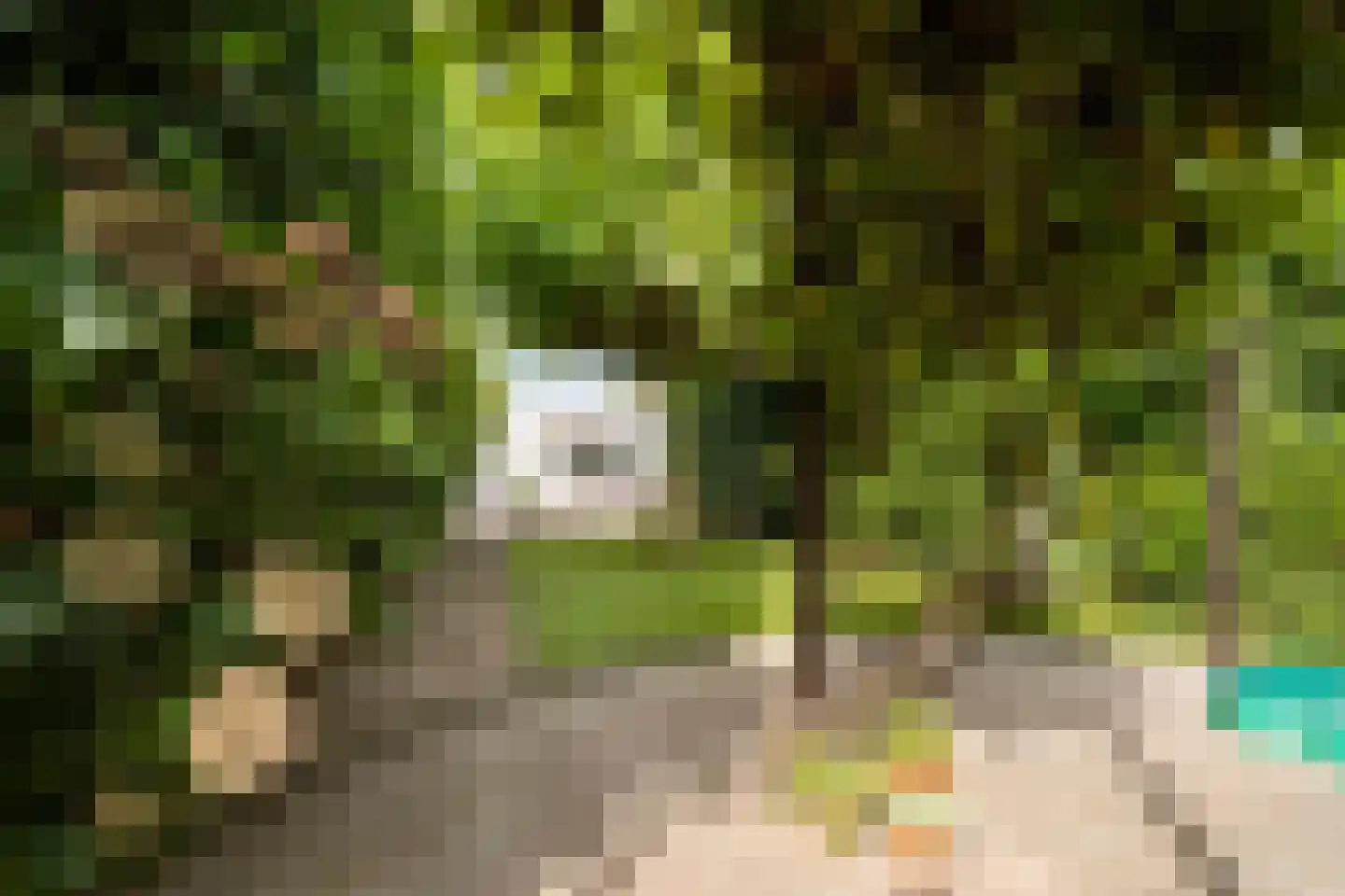 Wikketuin 70 Breda thumbnail 34