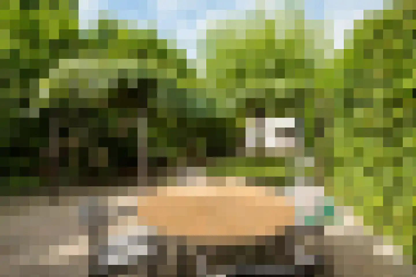Wikketuin 70 Breda thumbnail 35