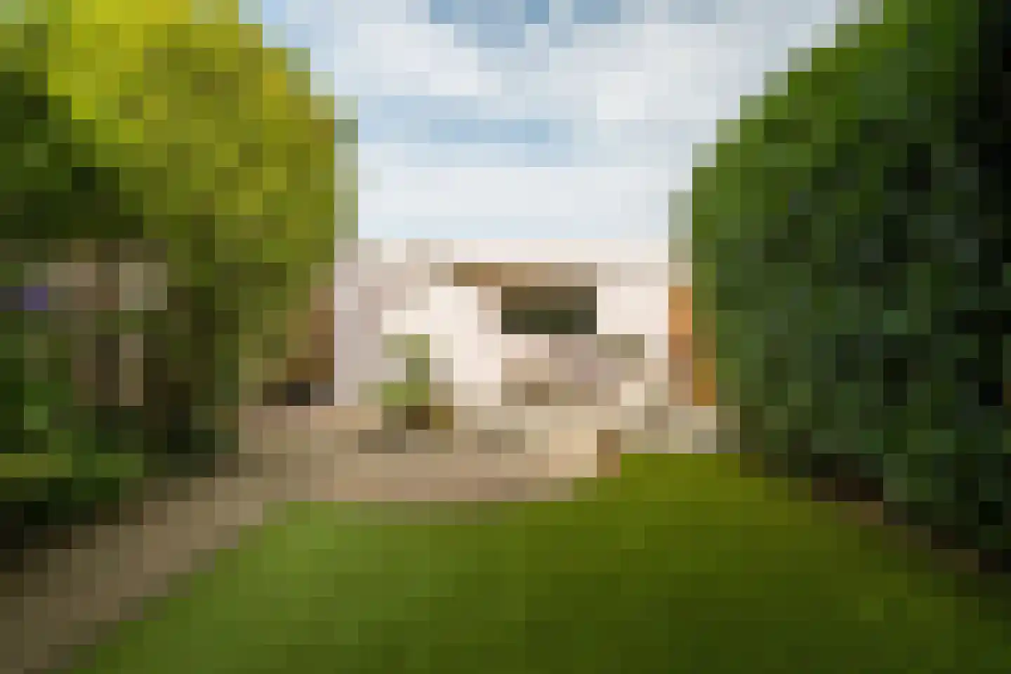 Wikketuin 70 Breda thumbnail 37