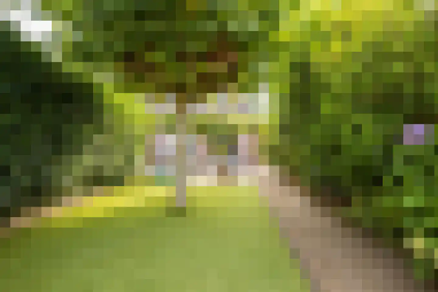 Wikketuin 70 Breda thumbnail 41