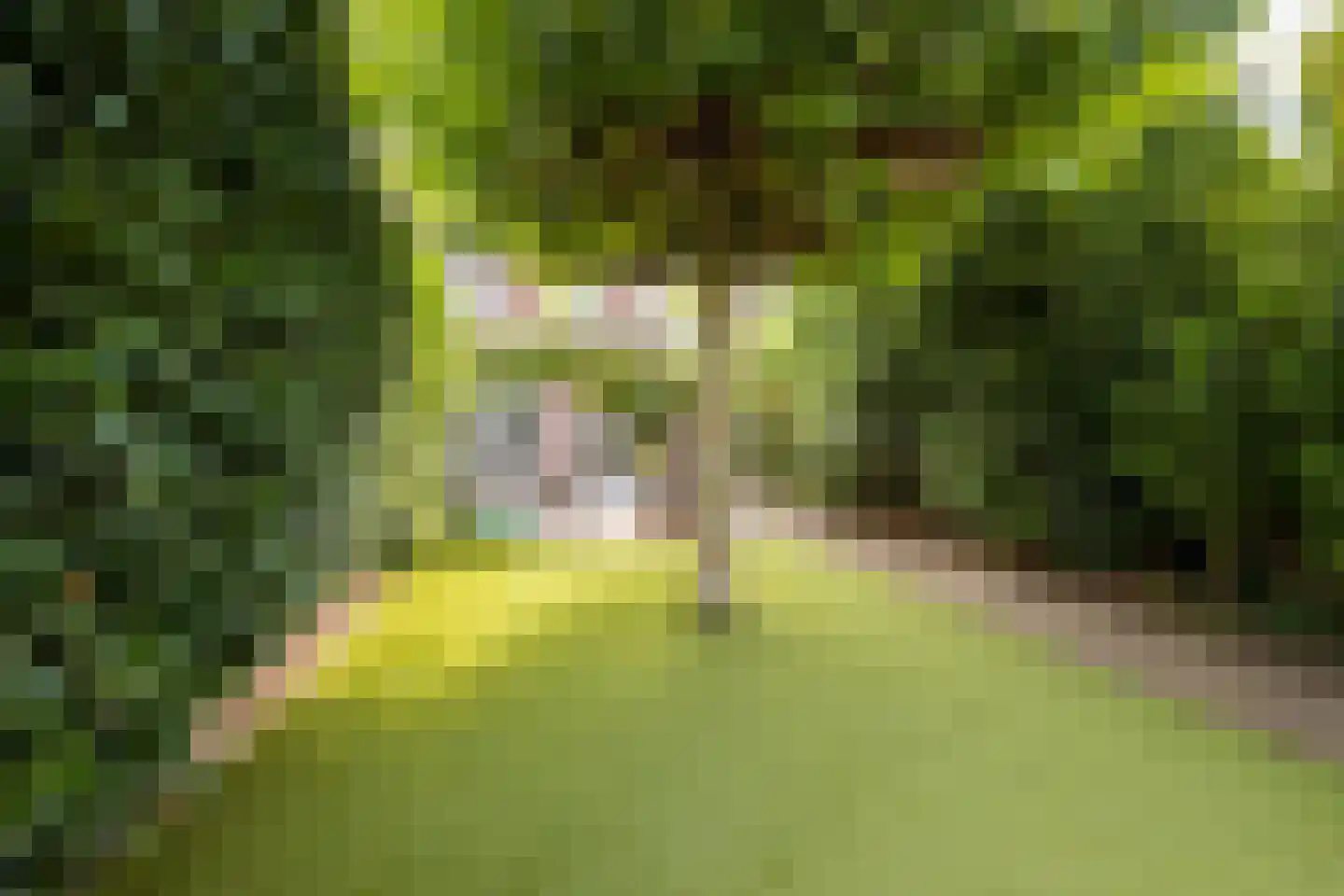 Wikketuin 70 Breda thumbnail 42