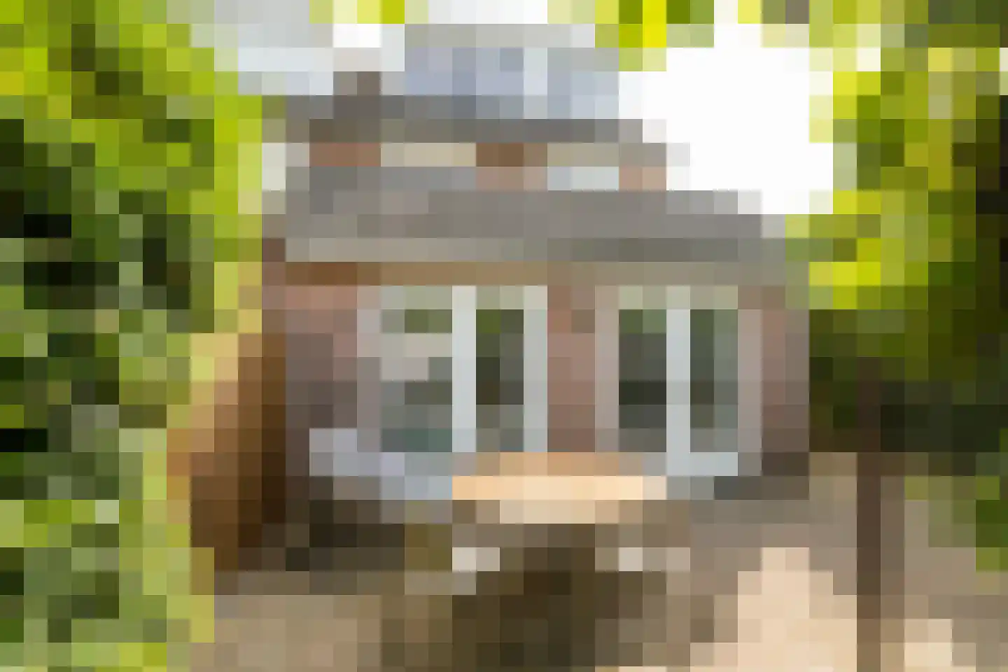 Wikketuin 70 Breda thumbnail 44
