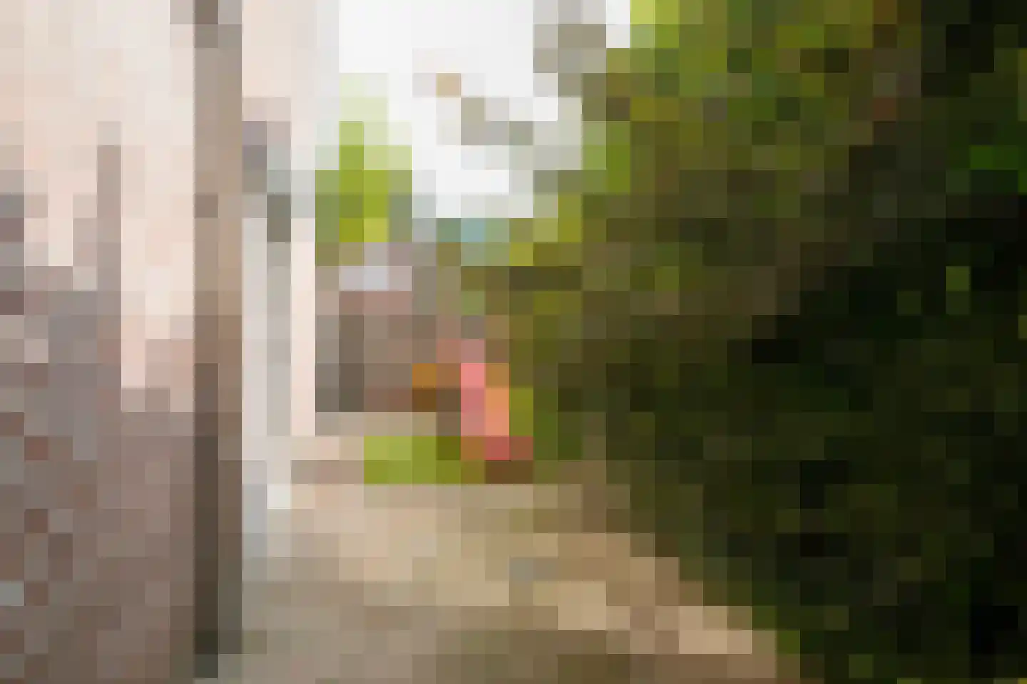 Wikketuin 70 Breda thumbnail 46