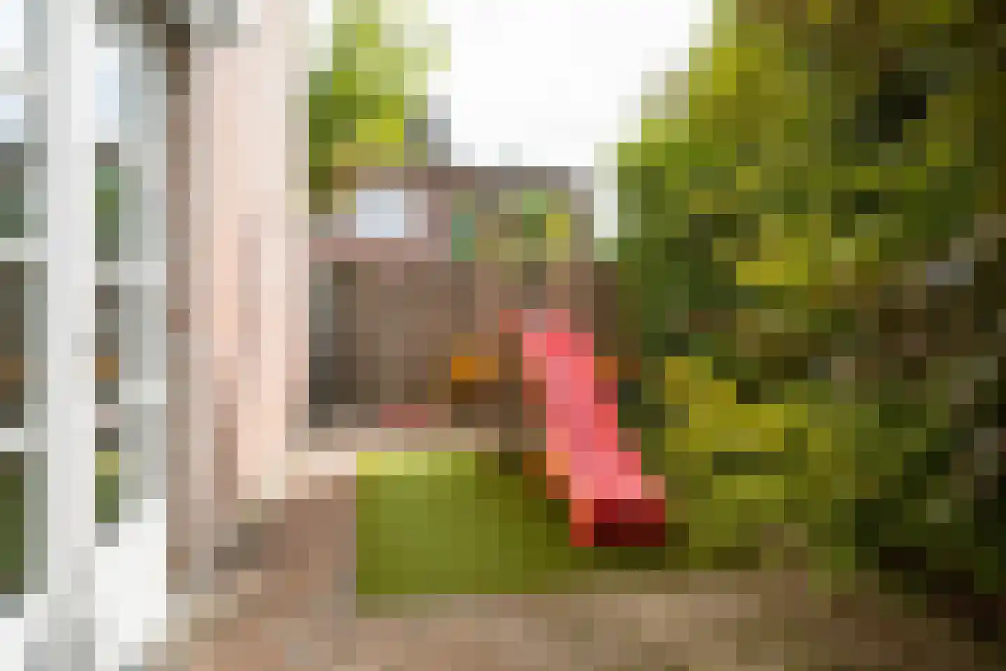 Wikketuin 70 Breda thumbnail 47
