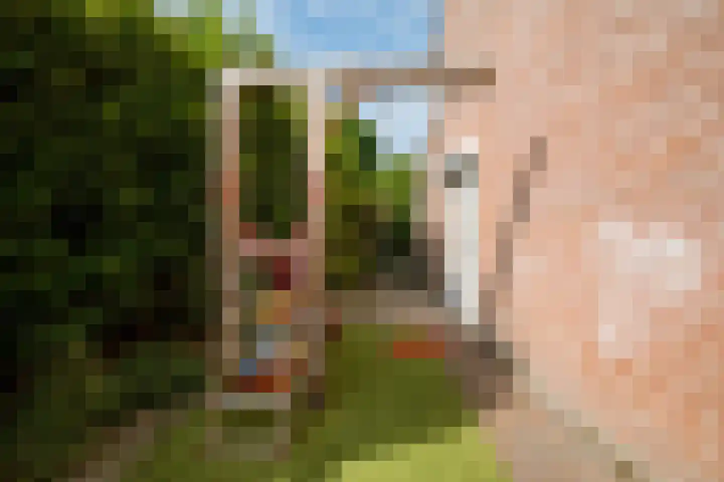 Wikketuin 70 Breda thumbnail 48