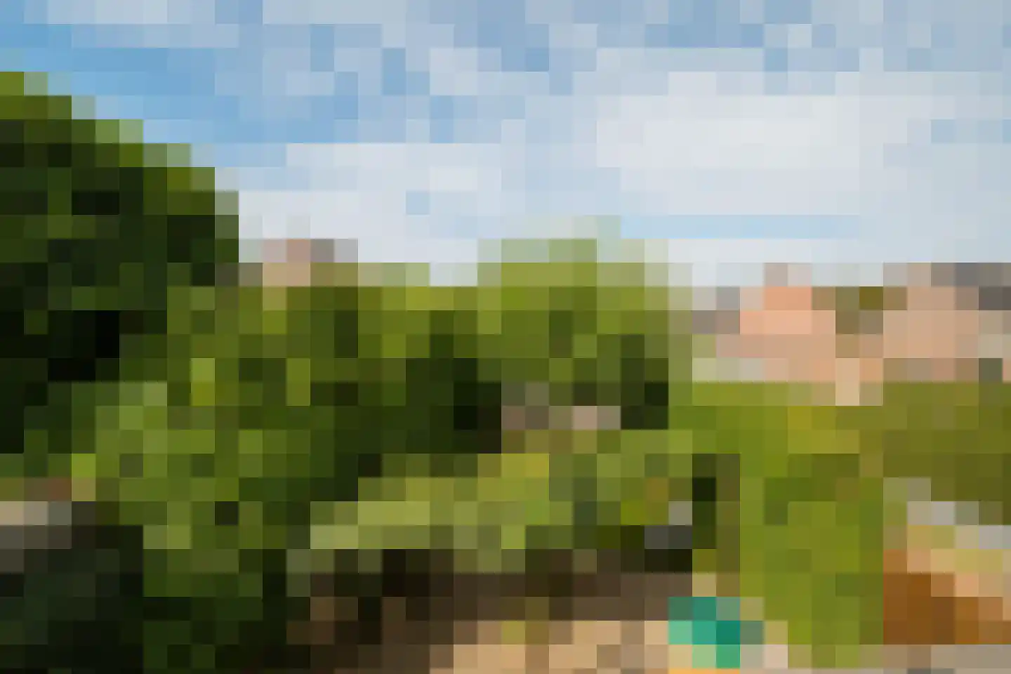 Wikketuin 70 Breda thumbnail 53