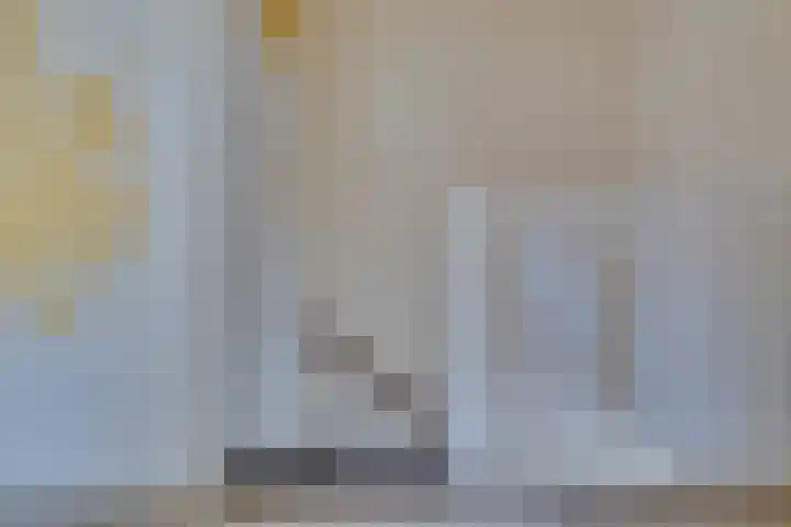 Wikkeweerd 8 Maastricht thumbnail 12