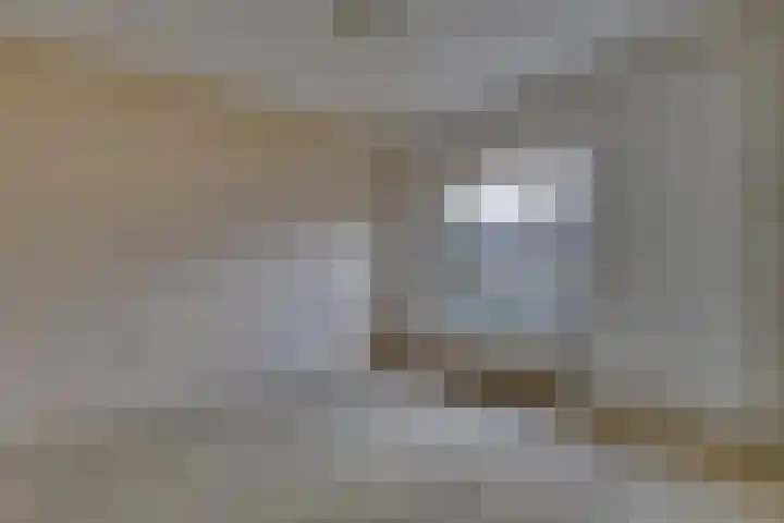 Wikkeweerd 8 Maastricht thumbnail 13