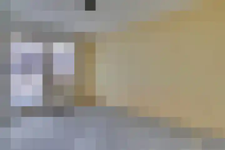 Wikkeweerd 8 Maastricht thumbnail 15