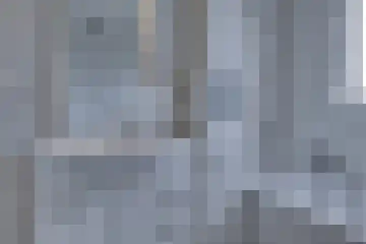 Wikkeweerd 8 Maastricht thumbnail 20