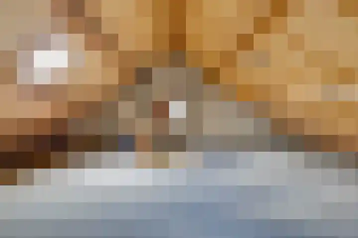 Wikkeweerd 8 Maastricht thumbnail 22
