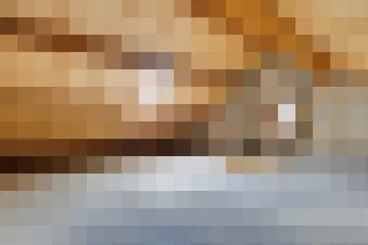Wikkeweerd 8 Maastricht thumbnail 23