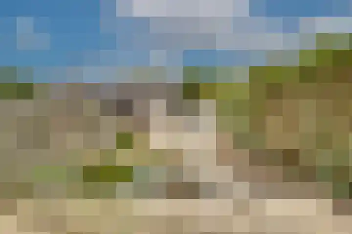 Wikkeweerd 8 Maastricht thumbnail 24