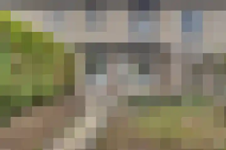 Wikkeweerd 8 Maastricht thumbnail 26