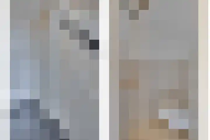 Wikkeweerd 8 Maastricht thumbnail 6