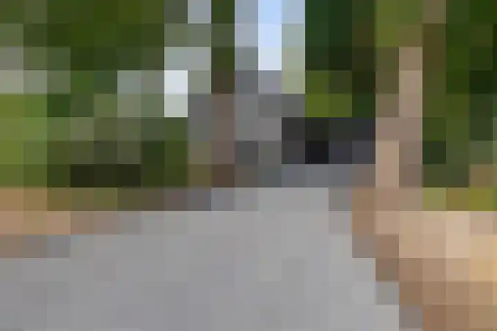 Wikselaarseweg 9 dans Voorthuizen