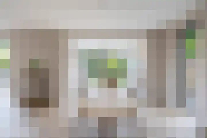 Wikselaarseweg 9 Voorthuizen thumbnail 10