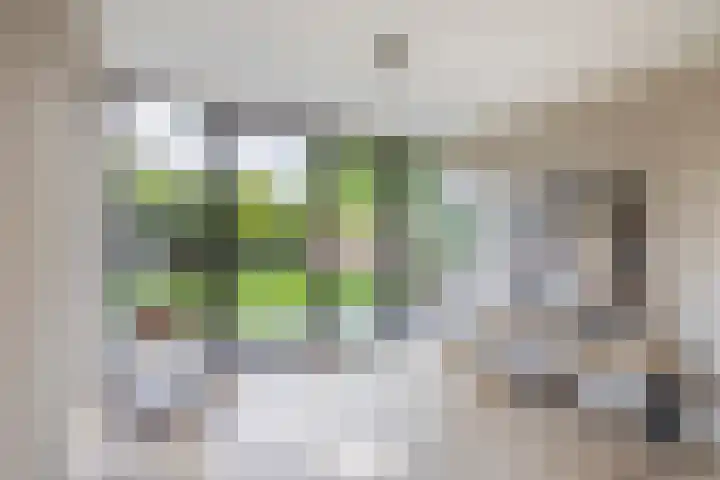 Wikselaarseweg 9 Voorthuizen thumbnail 11